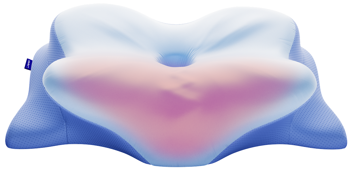 Bonus resources included with Derila Ergo Memory Foam Pillow