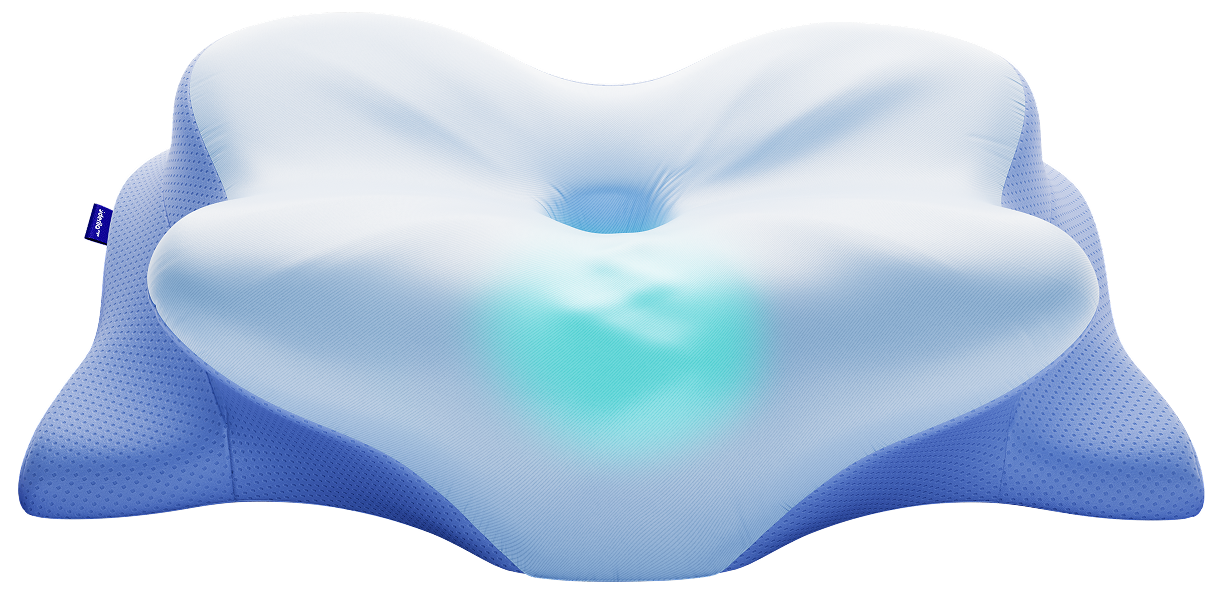 Bonus resources included with Derila Ergo Memory Foam Pillow